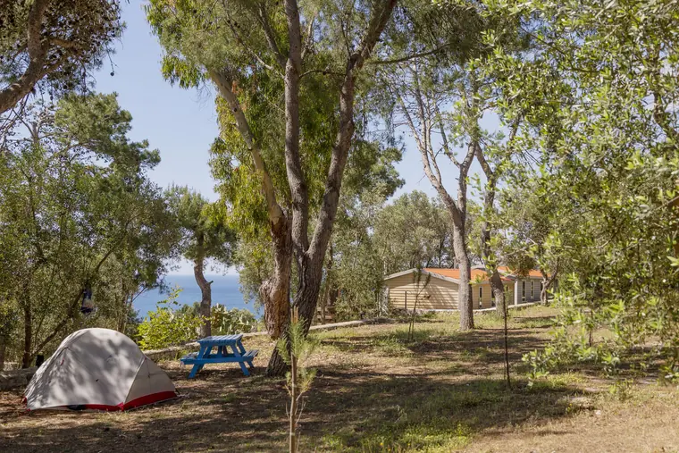 Piazzola per tenda, camper o roulotte con vista sulla pineta