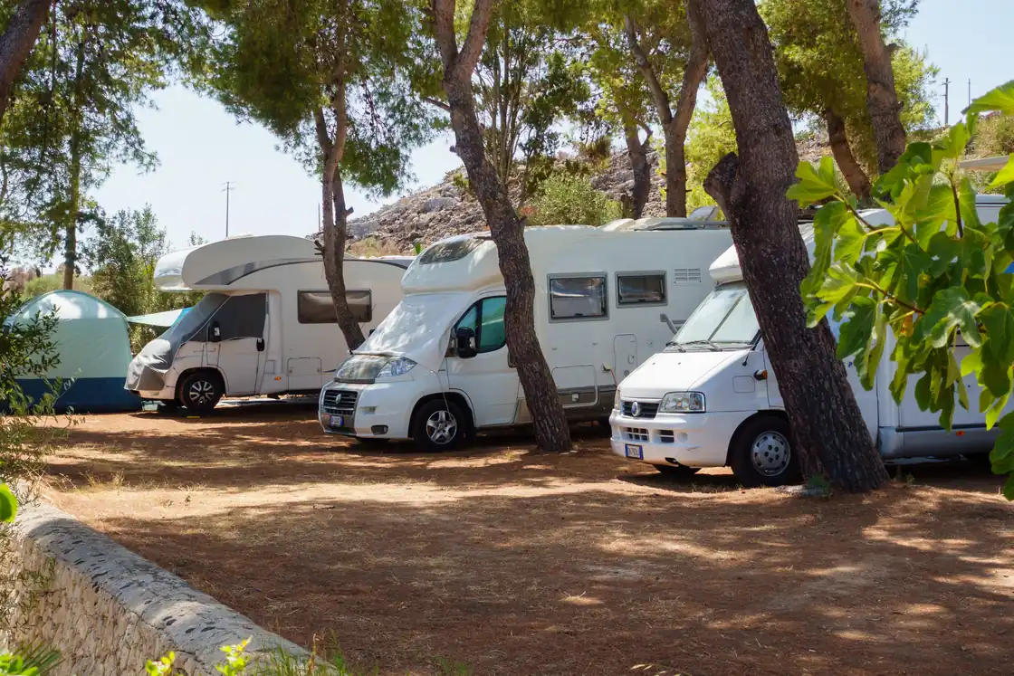 Camper e caravan tra i pini