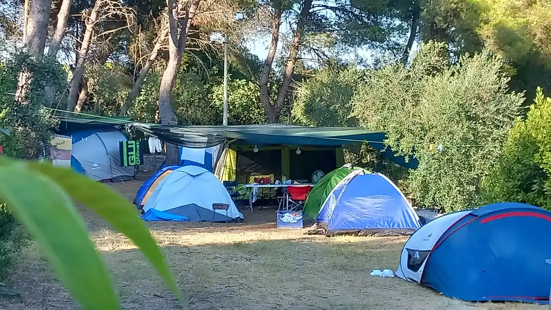 Tende sotto la pineta