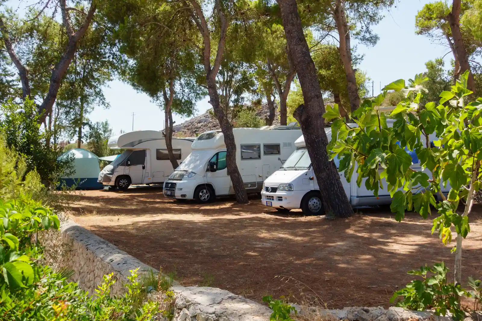 Camper e caravan tra i pini