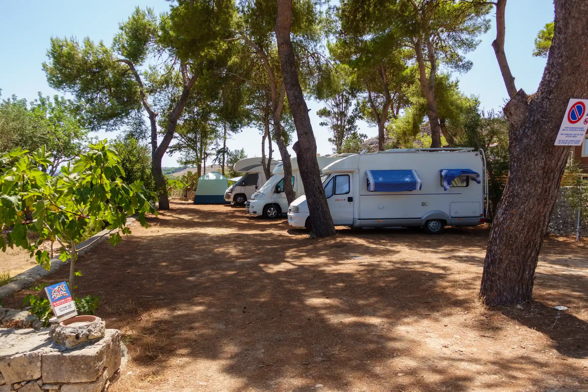 Camper tra i pini nella zona piazzole del Camping La Scogliera