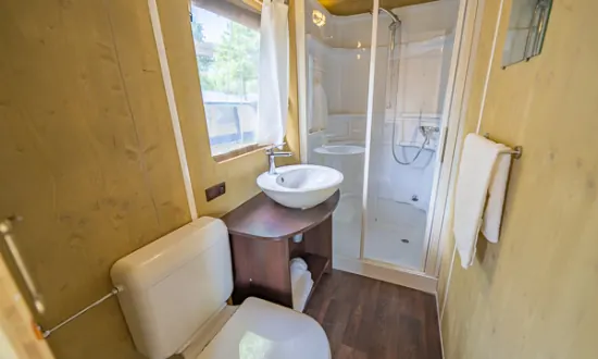 Bagno privato con doccia, lavabo e water
